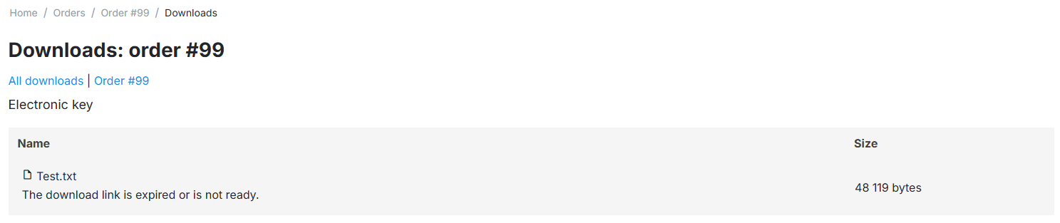 Link to download is not ready on the order details page.
