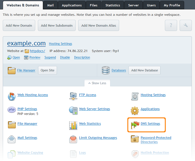 Click DNS Settings to view the DNS Settings page.